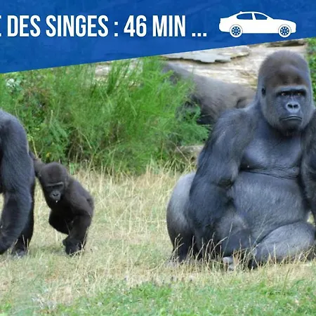 Apartamento Meublés Anatole France Proche Centre Ville, Futuroscope Et Technopole