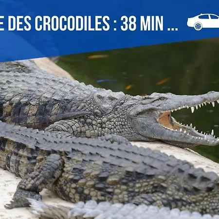 Meublés Anatole France Proche Centre Ville, Futuroscope Et Technopole