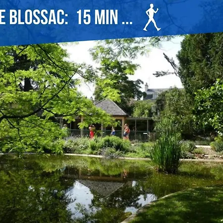 Meublés Anatole France Proche Centre Ville, Futuroscope Et Technopole * Poitiers