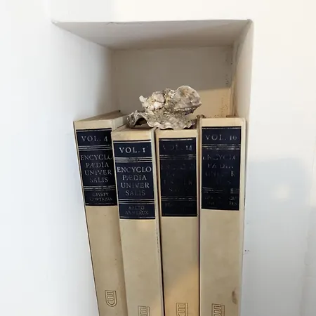 Lägenhet Maison Et D'anatole France Proche Centre-ville, Universite - Chu, Patinoire Et Futuroscope Poitiers