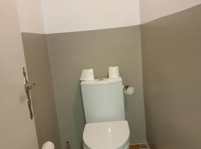 Maison Et D'anatole France Proche Centre-ville, Universite - Chu, Patinoire Et Futuroscope Poitiers