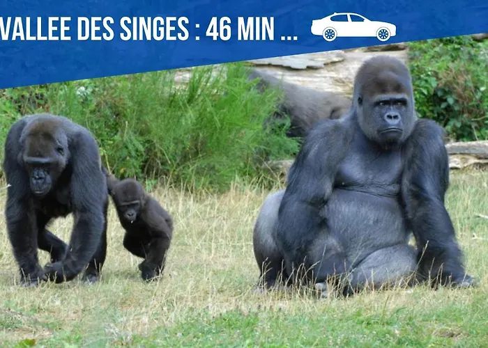 Apartmán Maison Et D'anatole France Proche Centre-ville, Universite - Chu, Patinoire Et Futuroscope