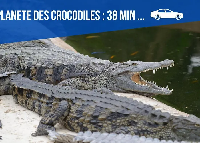 Maison Et D'anatole France Proche Centre-ville, Universite - Chu, Patinoire Et Futuroscope