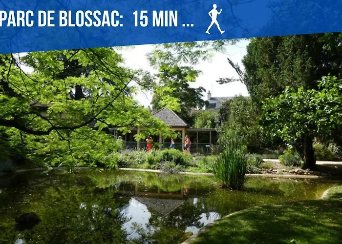 Maison Et D'anatole France Proche Centre-ville, Universite - Chu, Patinoire Et Futuroscope * Poitiers