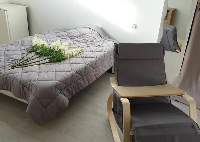 Maison Et D'anatole France Proche Centre-ville, Universite - Chu, Patinoire Et Futuroscope