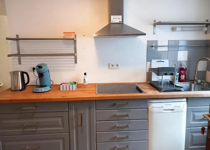 Maison Et D'anatole France Proche Centre-ville, Universite - Chu, Patinoire Et Futuroscope Apartmán