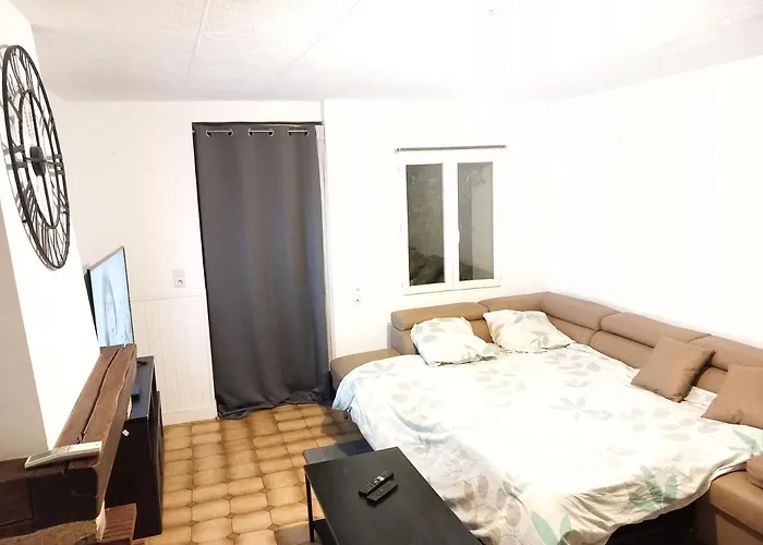 Maison Et D'anatole France Proche Centre-ville, Universite - Chu, Patinoire Et Futuroscope Apartmán