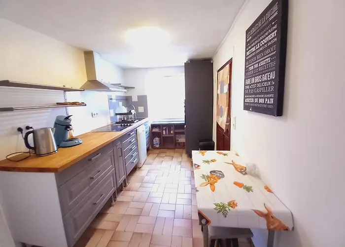 Maison Et D'anatole France Proche Centre-ville, Universite - Chu, Patinoire Et Futuroscope Apartment