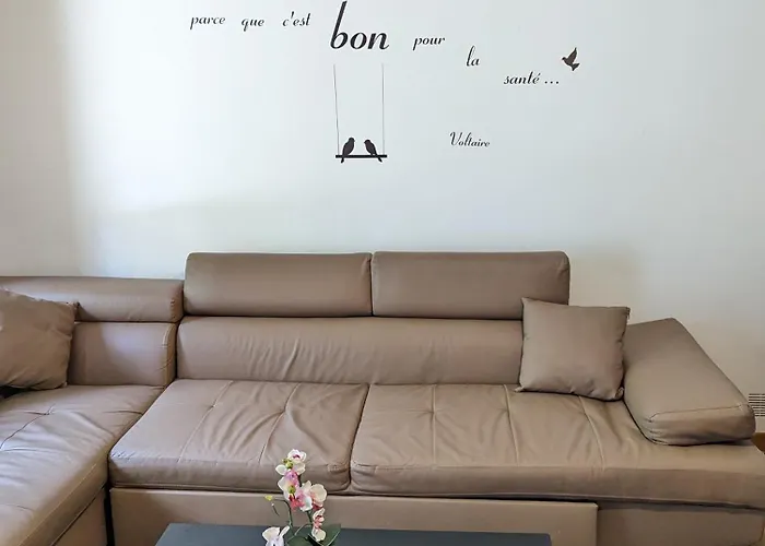 Maison Et D'anatole France Proche Centre-ville, Universite - Chu, Patinoire Et Futuroscope Apartment