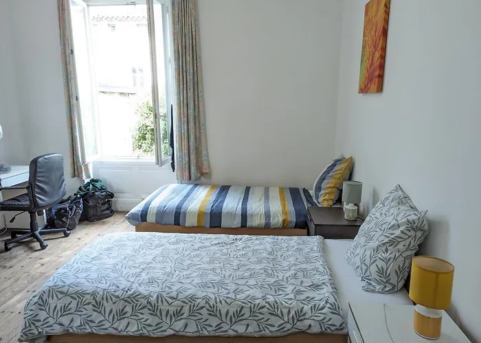 Apartment Maison Et D'anatole France Proche Centre-ville, Universite - Chu, Patinoire Et Futuroscope Poitiers