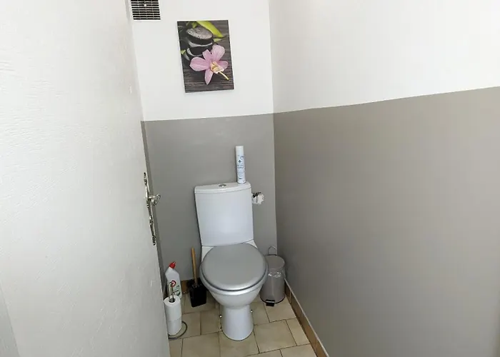 Maison Et D'anatole France Proche Centre-ville, Universite - Chu, Patinoire Et Futuroscope Poitiers