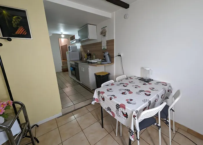 Maison Et D'anatole France Proche Centre-ville, Universite - Chu, Patinoire Et Futuroscope Poitiers