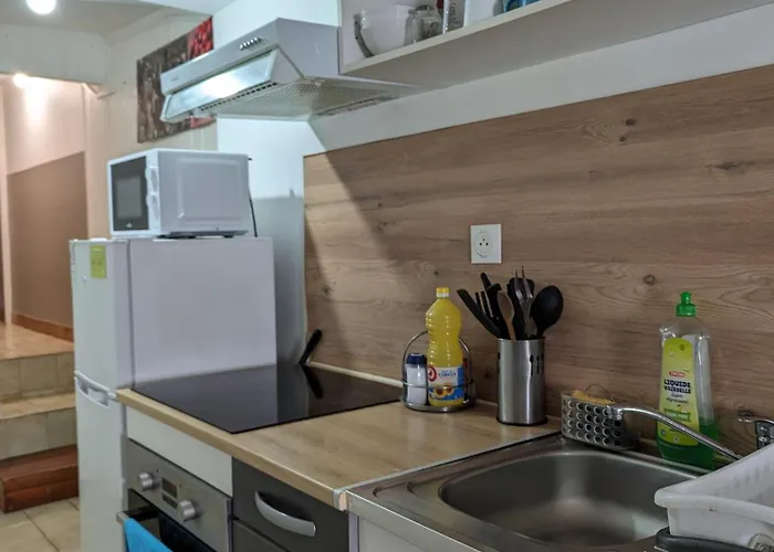 Maison Et D'anatole France Proche Centre-ville, Universite - Chu, Patinoire Et Futuroscope