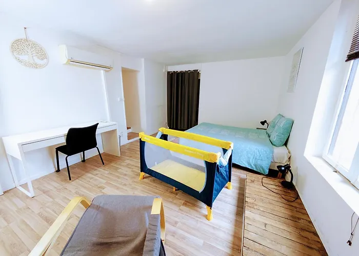 Maison Et D'anatole France Proche Centre-ville, Universite - Chu, Patinoire Et Futuroscope Apartment Poitiers