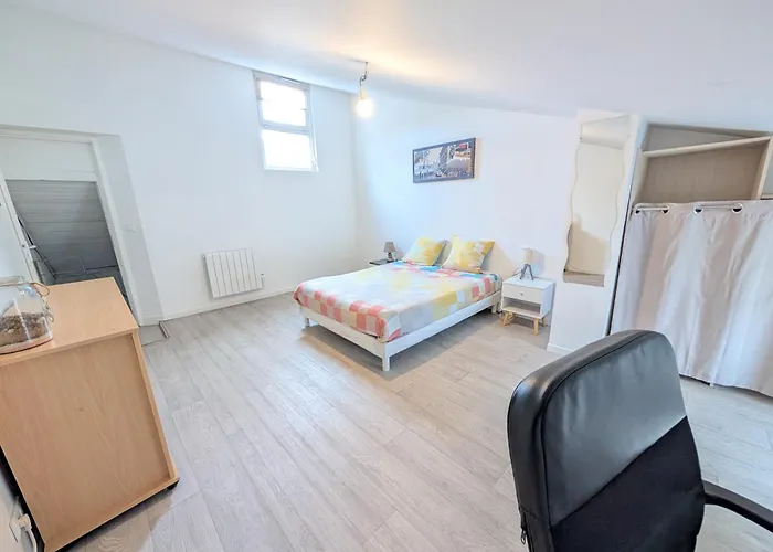 Maison Et D'anatole France Proche Centre-ville, Universite - Chu, Patinoire Et Futuroscope Apartmán Poitiers